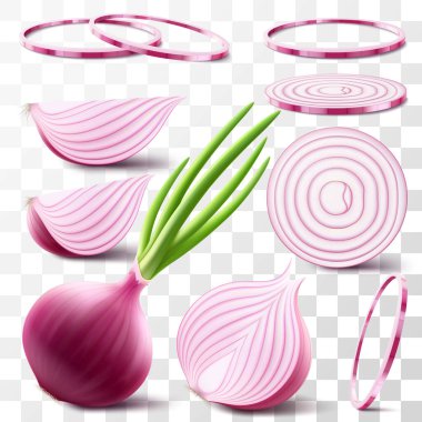 Tam, yarısı ve taze soğan dilimleri. Şeffaf arkaplanda yeşil tüylü olgun kırmızı soğan seti. Sağlıklı yiyecekler. Doğal sebze. Gerçekçi 3d vektör illüstrasyonu