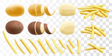 Şeffaf arka planda izole edilmiş bir patates seti. Soyulmuş ve soyulmamış çiğ patates. Yağda kızartılmış patates kızartması. Gerçekçi 3d vektör illüstrasyonu