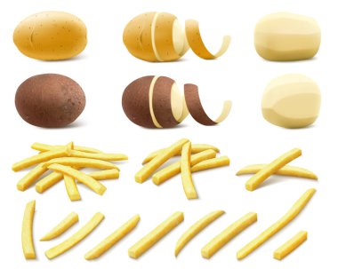 Şeffaf arka planda izole edilmiş bir patates seti. Soyulmuş ve soyulmamış patatesler. Çiğ ve pişmiş patates. Yağda kızartılmış patates kızartması. Gerçekçi 3d vektör illüstrasyonu