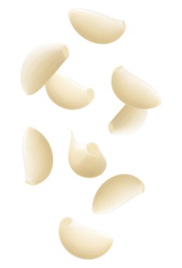 Düşen sarımsak, şeffaf bir arka planda izole edilmiş, seçici bir odak. Bulanık efektli uçan sarımsak karanfilleri. Reklam, ambalaj, afiş ve poster için kullanılabilir. Gerçekçi 3d vektör illüstrasyonu