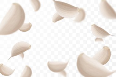 Düşen sarımsak, şeffaf bir arka planda izole edilmiş, seçici bir odak. Bulanık efektli uçan sarımsak karanfilleri. Reklam, ambalaj, afiş ve poster için kullanılabilir. Gerçekçi 3d vektör illüstrasyonu