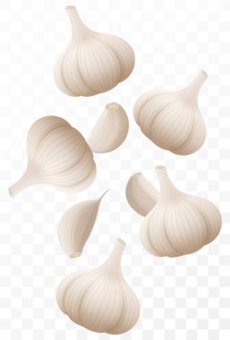 Düşen sarımsak, şeffaf bir arka planda izole edilmiş, seçici bir odak. Bulanık efektli uçan sarımsak karanfilleri. Reklam, ambalaj, afiş ve poster için kullanılabilir. Gerçekçi 3d vektör illüstrasyonu