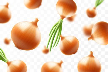 Düşen soğan, şeffaf arka planda izole, seçici odaklanma. Bulanık efektli uçan soğan. Reklam, ambalaj, afiş ve poster için kullanılabilir. Gerçekçi 3d vektör illüstrasyonu
