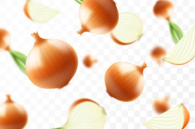 Düşen soğan, şeffaf arka planda izole, seçici odaklanma. Bulanık efektli uçan soğan. Reklam, ambalaj, afiş ve poster için kullanılabilir. Gerçekçi 3d vektör illüstrasyonu