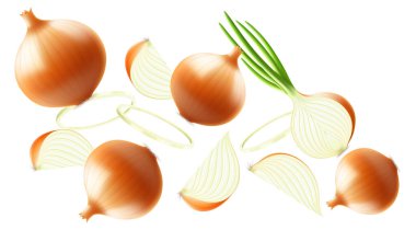 Düşen soğan, şeffaf arka planda izole, seçici odaklanma. Bulanık efektli uçan soğan. Reklam, ambalaj, afiş ve poster için kullanılabilir. Gerçekçi 3d vektör illüstrasyonu