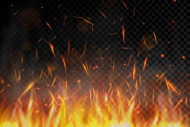 Fire. Fire sparks flying up on transparent background. Smoke and glowing particles on black. Realistic lighting sparks with bokeh effect for design. Vector illustration.