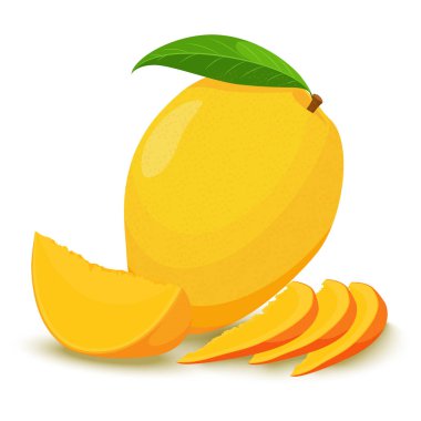 Mango. Vector illustration of Ripe fresh yellow mango with slices and leaves. Flat design