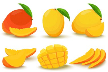 Mango. Whole and pieces. Bright vector set of colorful half, slice and whole mango. Fresh cartoon exotic fruits isolated on white background.