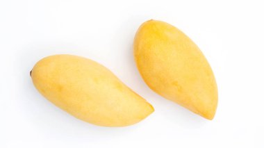 Beyaz arka planda olgun bir Barakuda mangosu..