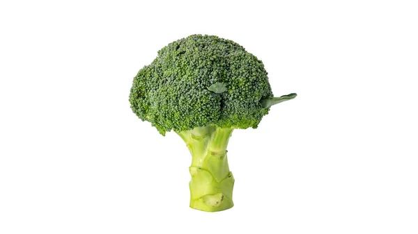 Groene Broccoli Groente Een Witte Achtergrond — Stockfoto