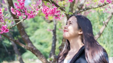 Asyalı kadınlar kiraz çiçeklerine bakar ve mutlu olurlar..