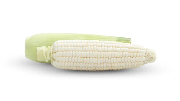 Biała Kukurydza Białym Tle — Zdjęcie stockowe
