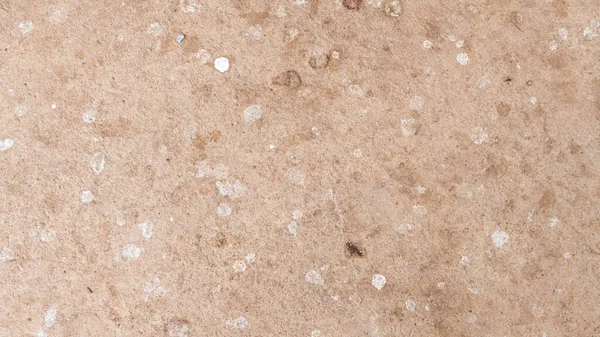 セメント床に鳥の糞 — ストック写真