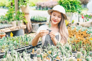 Young women doing hobbies taking care of plants, watering, shoveling flowers. In the garden during the break from work