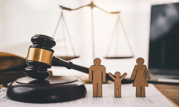 Avukat Adaleti Ölçüyor - İnsan Hakları Kanunu Kavramları