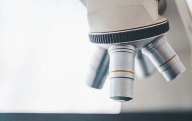 Female researchers are experimenting with pipette dropping a sample into a test tube in an experiment research in laboratory..	