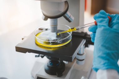 Female researchers are experimenting with pipette dropping a sample into a test tube in an experiment research in laboratory..	