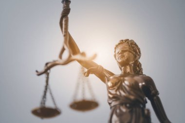 Lady justice,Law theme, mallet of the judge, law enforcement officers, evidence-based cases and documents taken into account.	