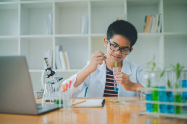 Asyalı erkek bilim öğrencileri mikroskopla bakıyorlar ve sınıfta bitki testleri yapıyorlar. Bitki türleri üzerinde bilimsel deneyler öğrenmek.