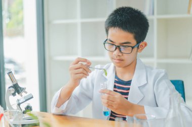 Asyalı erkek bilim öğrencileri mikroskopla bakıyorlar ve sınıfta bitki testleri yapıyorlar. Bitki türleri üzerinde bilimsel deneyler öğrenmek.