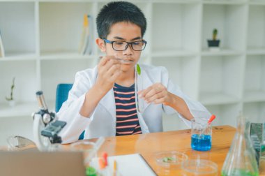 Asyalı erkek bilim öğrencileri mikroskopla bakıyorlar ve sınıfta bitki testleri yapıyorlar. Bitki türleri üzerinde bilimsel deneyler öğrenmek.