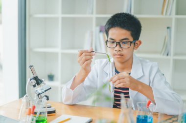 Asyalı erkek bilim öğrencileri mikroskopla bakıyorlar ve sınıfta bitki testleri yapıyorlar. Bitki türleri üzerinde bilimsel deneyler öğrenmek.