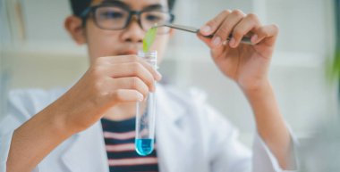 Asyalı erkek bilim öğrencileri mikroskopla bakıyorlar ve sınıfta bitki testleri yapıyorlar. Bitki türleri üzerinde bilimsel deneyler öğrenmek.