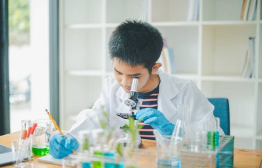 Asyalı erkek bilim öğrencileri mikroskopla bakıyorlar ve sınıfta bitki testleri yapıyorlar. Bitki türleri üzerinde bilimsel deneyler öğrenmek.