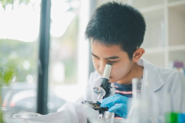 Asyalı erkek bilim öğrencileri mikroskopla bakıyorlar ve sınıfta bitki testleri yapıyorlar. Bitki türleri üzerinde bilimsel deneyler öğrenmek.