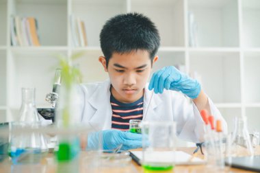 Asyalı erkek bilim öğrencileri mikroskopla bakıyorlar ve sınıfta bitki testleri yapıyorlar. Bitki türleri üzerinde bilimsel deneyler öğrenmek.