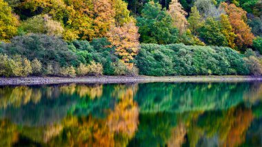 Brecon Beacons 'da sonbahar renkleri. Yapraklar yeşil, turuncu, altın, kırmızı ve sarı renge dönüştü. Yamacın canlı mevsimsel renkleri suya yansıyor.