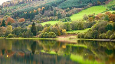 Brecon Beacons 'da sonbahar renkleri. Yapraklar yeşil, turuncu, altın, kırmızı ve sarı renge dönüştü. Yamacın canlı mevsimsel renkleri suya yansıyor.