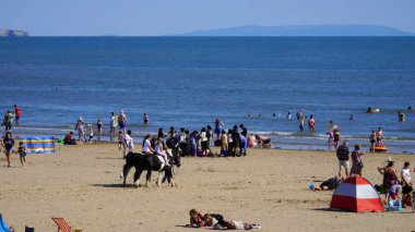 Porthcawl, Bridgend, Galler: 15 Ağustos 2024: Coney Beach, Porthcawl, Güney Galler 'de her yaştan çocukların kumsalda geleneksel eşek gezintisi yapabildiği birkaç deniz kıyısındaki tatil beldesinden biridir..