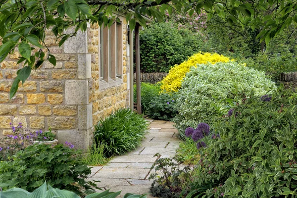 Fleurs Herbes Arbustes Dans Jardin Traditionnel Anglais Jour Été — Photo
