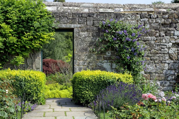 Footpath in a wall garden with flowering blue clematis, lavender, pink roses and box hedge, in an English countryside, on a summer day .