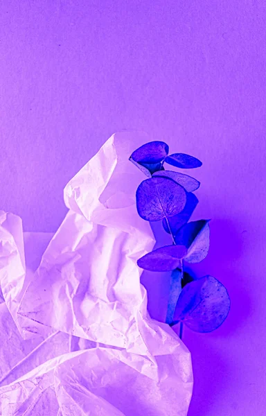 crumpled paper bag, lilac background. plant in pink and blue colors. creative concept.