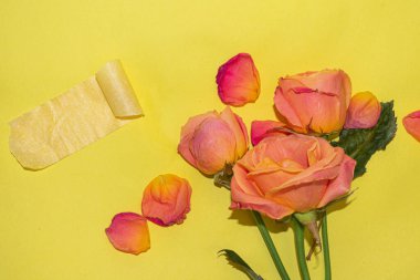 beautiful bouquet of roses on a yellow background, place for text