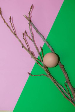 Pembe arka planda paskalya yumurtası ve dalları.
