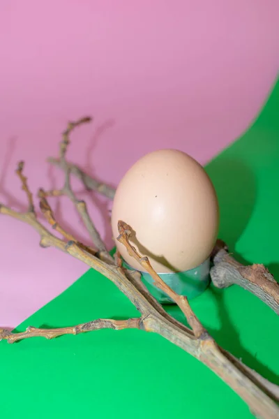 Ahşap Arka Planda Bir Yuvada Paskalya Yumurtaları — Stok fotoğraf