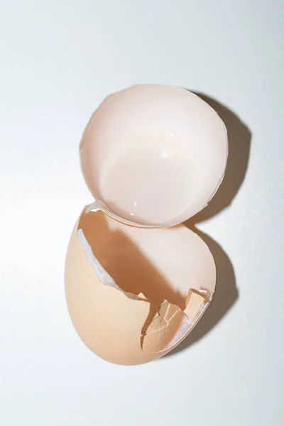 Κέλυφος Αυγού Άσπρο Φόντο — Φωτογραφία Αρχείου
