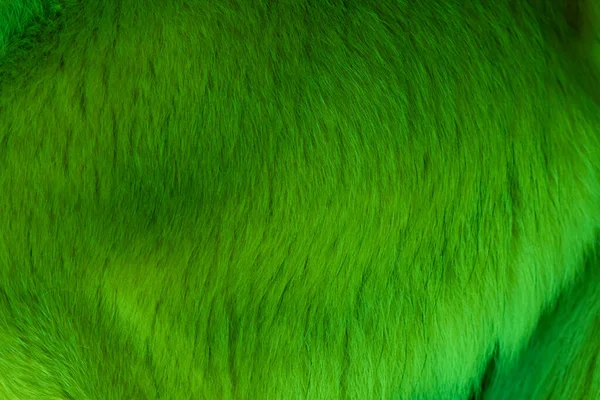 Green Fur Texture Green Fur Background — Stock Photo, Image