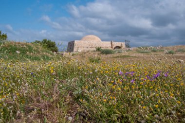 Arka planda Sultan İbrahim Camii 'nin bulunduğu bir çayır manzarası (çayıra odaklan)