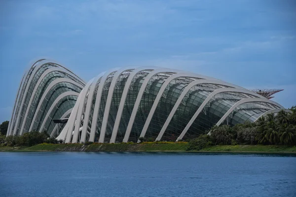 Σιγκαπούρη Σιγκαπούρη Αυγούστου 2022 Θέα Του Τεράστιου Θερμοκηπίου Εξωτικά Φυτά — Φωτογραφία Αρχείου