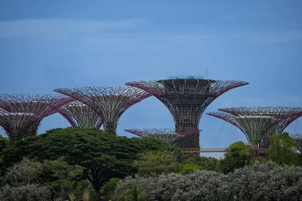 シンガポールのガーデン ベイのスーパーツリーグローブ — ストック写真