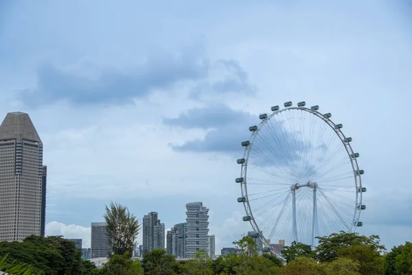Singapore Singapore Augustus 2022 Het 165 Meter Hoge Reuzenrad Singapore — Stockfoto