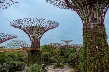 Singapur, Singapur, 30 Ağustos 2022, Supertree Grove ve Çiçek Kubbesi 'nin OCBC Skyway manzarası