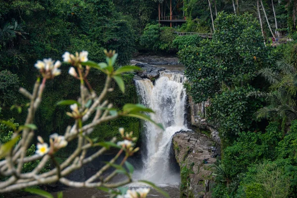 The top view of Tegenungan Waterfall in Ubud, Bali
