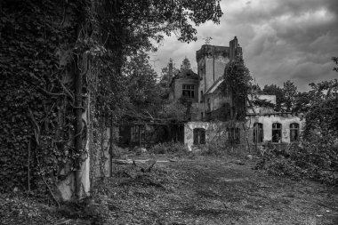 Terk edilmiş bir binanın siyah beyaz fotoğrafı