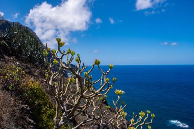 Tenerife 'nin kuzey kıyısındaki deniz manzarası