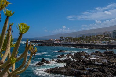 Puerto de la Cruz 'da küçük kaya havuzları olan Playa de San Telmo manzarası